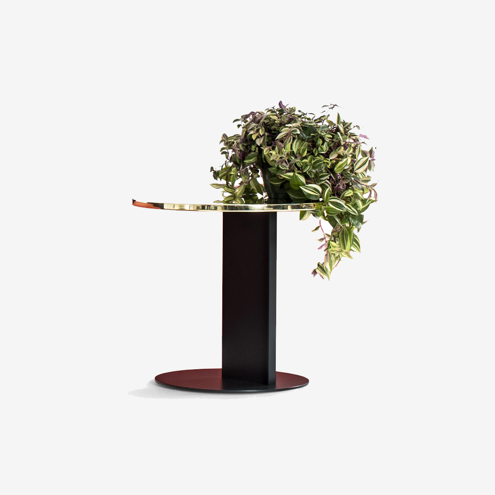 Forzza Vincent Corner Wall Shelf